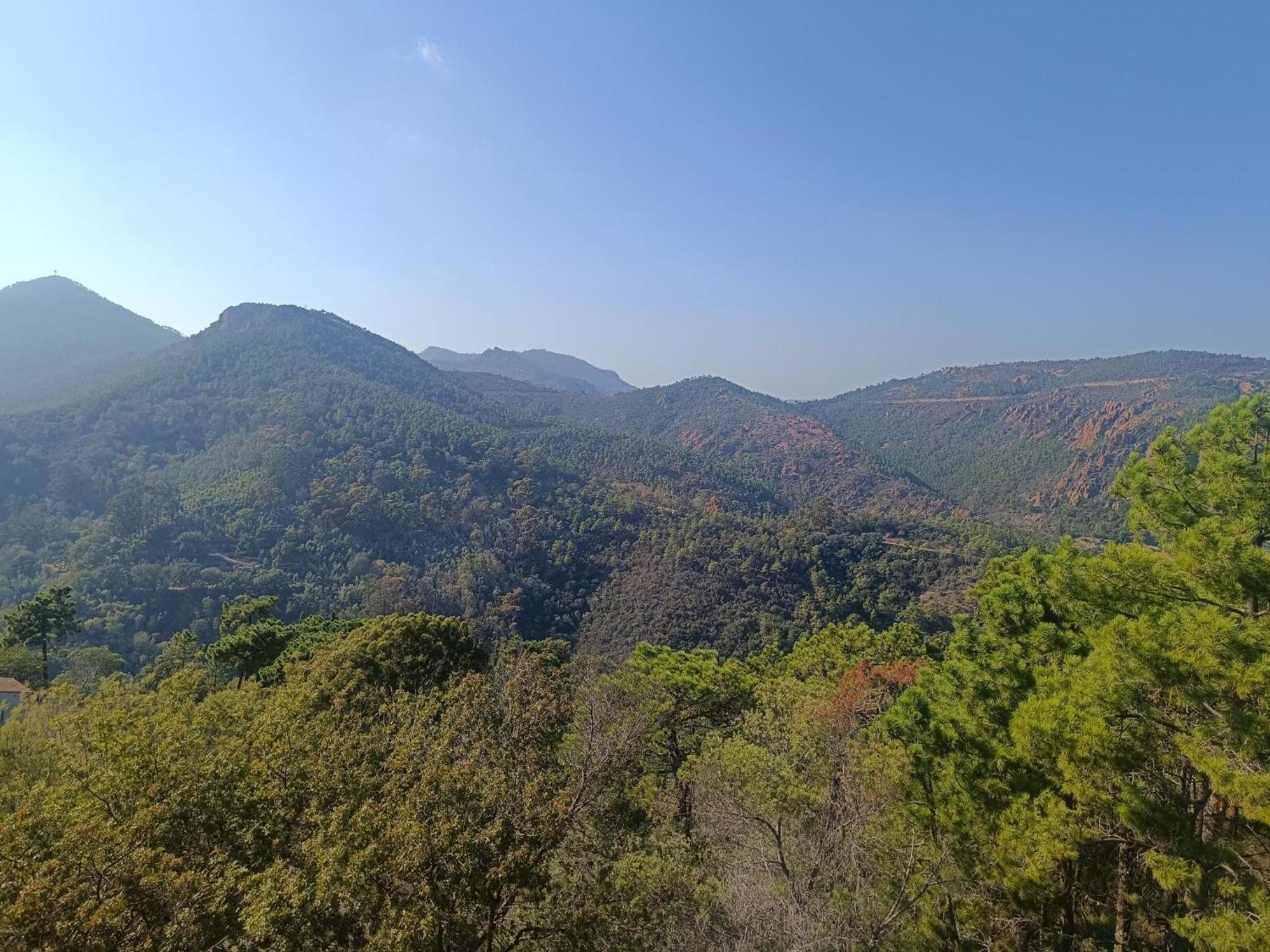 Magnifique Vue Mer Et Piscine - Les Cles De L Esterel Théoule-sur-Mer Exterior foto
