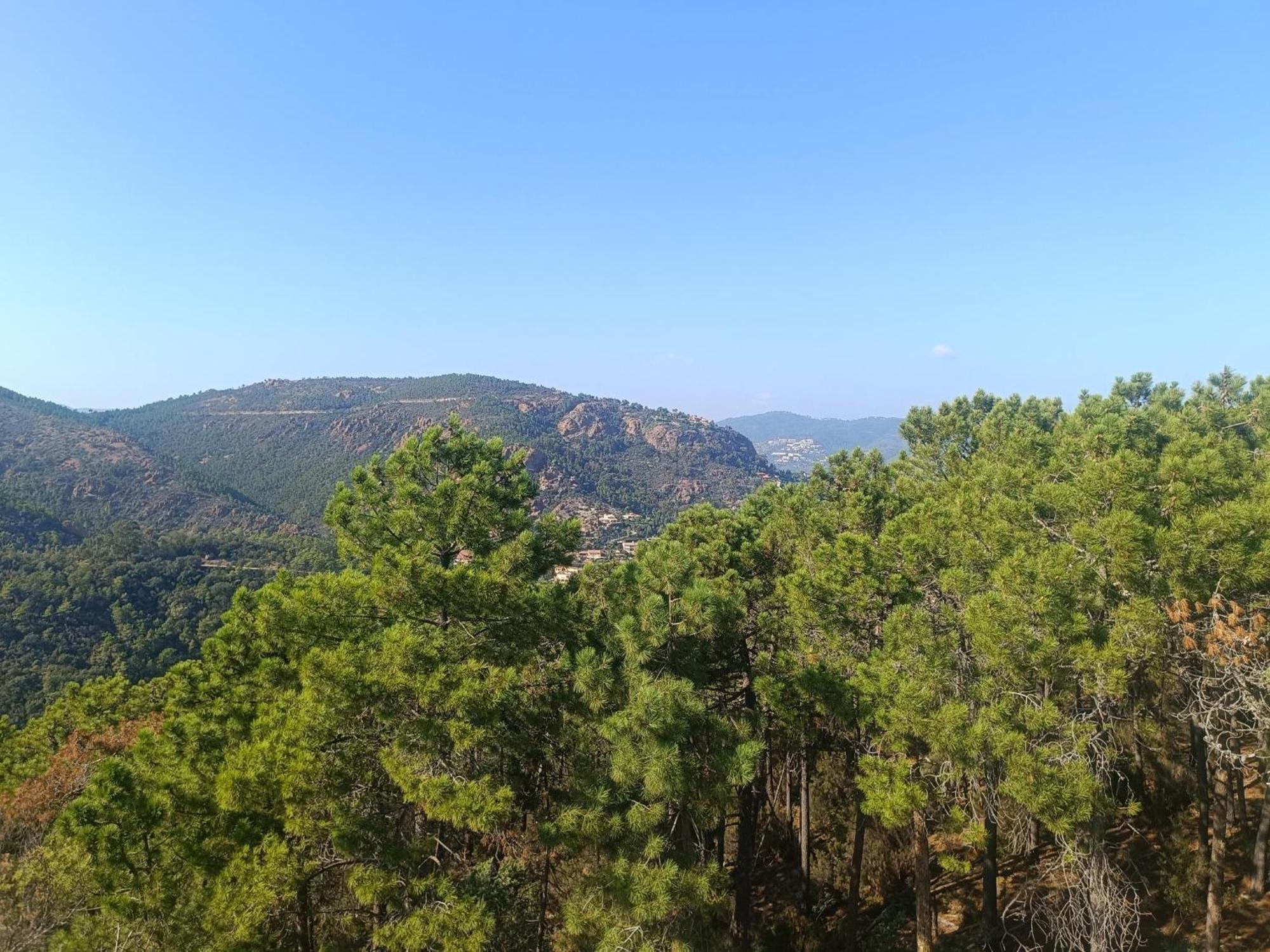 Magnifique Vue Mer Et Piscine - Les Cles De L Esterel Théoule-sur-Mer Exterior foto